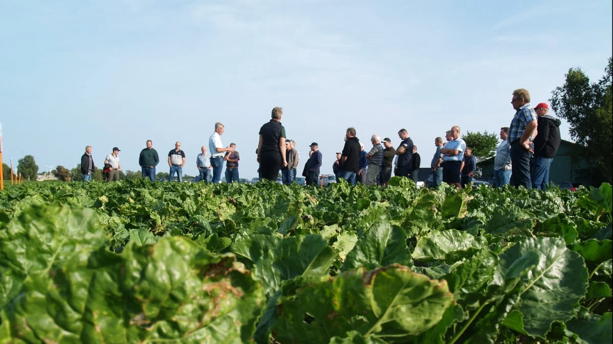 Programmet for KWS’ grillarrangementer i roemarkerne indledes med en times komprimeret faglig gennemgang.