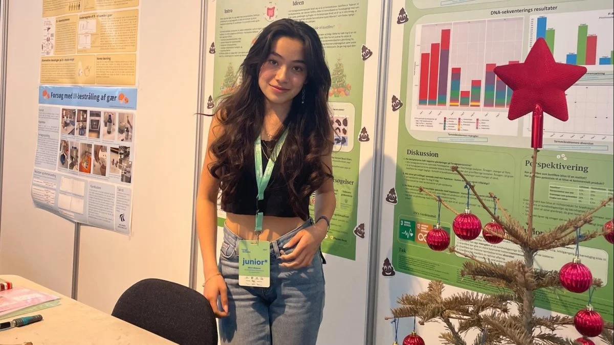 Granfibrene, som 16-årige juniorforsker Mimi Nielsen har udviklet, kan blive til en ny, lukrativ og cirkulær forretningsmodel for juletræsproducenter, hvis man spørger producenten Fair Trees. Foto: Piqsels