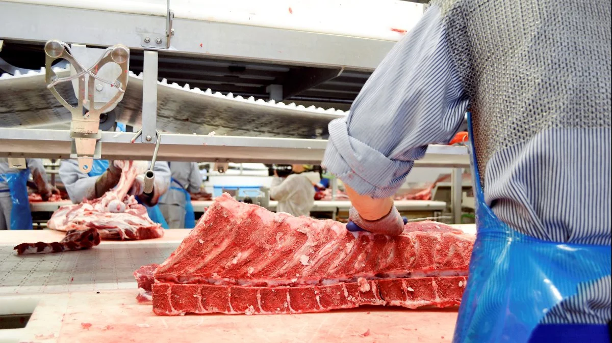 Alle kategorier bliver sat 40 øre ned fra på mandag, melder Danish Crown. Arkivfoto: Danish Crown Beef