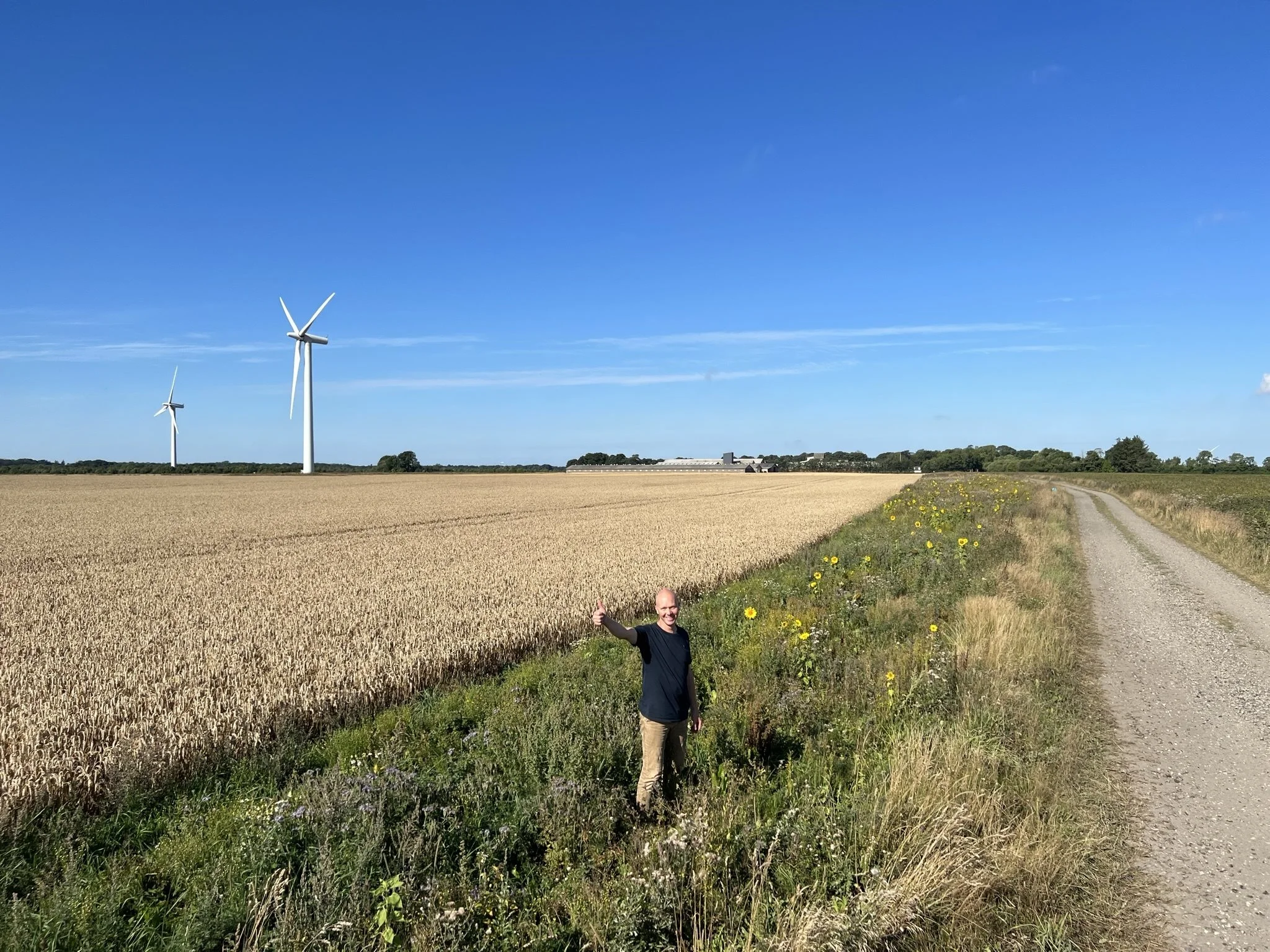 Man kan jo ikke undgå at blive i godt humør af 400 meter med solsikker, siger Michael Bundgaard, som også glæder sig over, at kilen er blevet rettet ud og giver en mere effektiv markdrift. Fotos: Kasper Stougård 