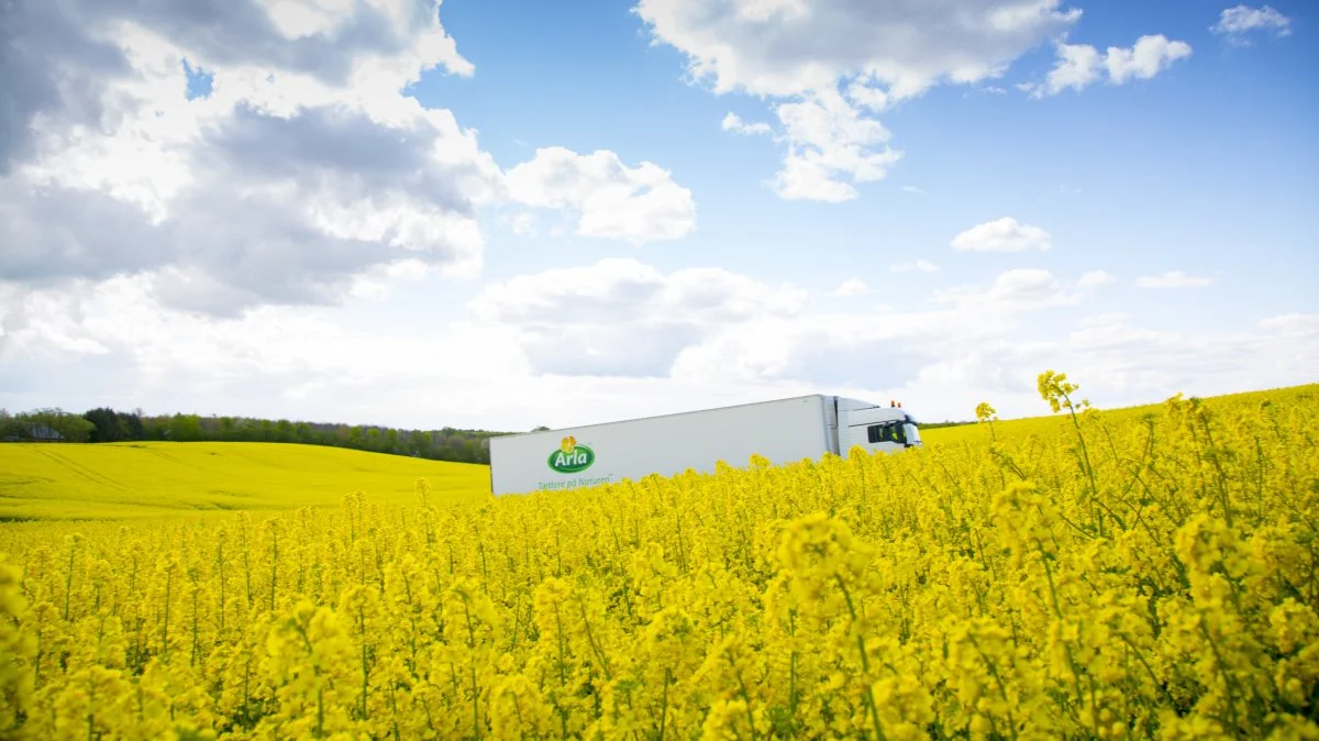Hvert år sender Arla Pro 380.000 styks 10 liters dunke med mælk og fløde ud til de danske storkøkkener. Den nye emballageløsning ville kunne spare helt op til 75 procent af den nuværende plastik, der er brugt. Fotos: Arla