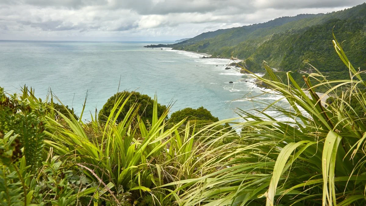 Vestkysten på New Zealands sydø har en helt unik natur.