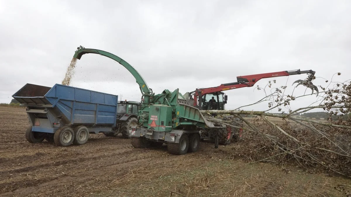 Børge Schäfler, der i år har 25-års jubilæum som skoventreprenør, leverer store mængder flis fra de fynske hegn og skove til varmeværker. Her er han i aktion med den store Jenz-flishugger, som klarer stammer op til 80 centimeters tykkelse. Skan koden og se flishuggeren i arbejde. Foto og video: Erik Hansen