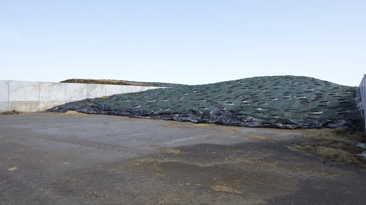 I store plansiloer opbevares ingredienser og restprodukter, som her snittet rajgræs.