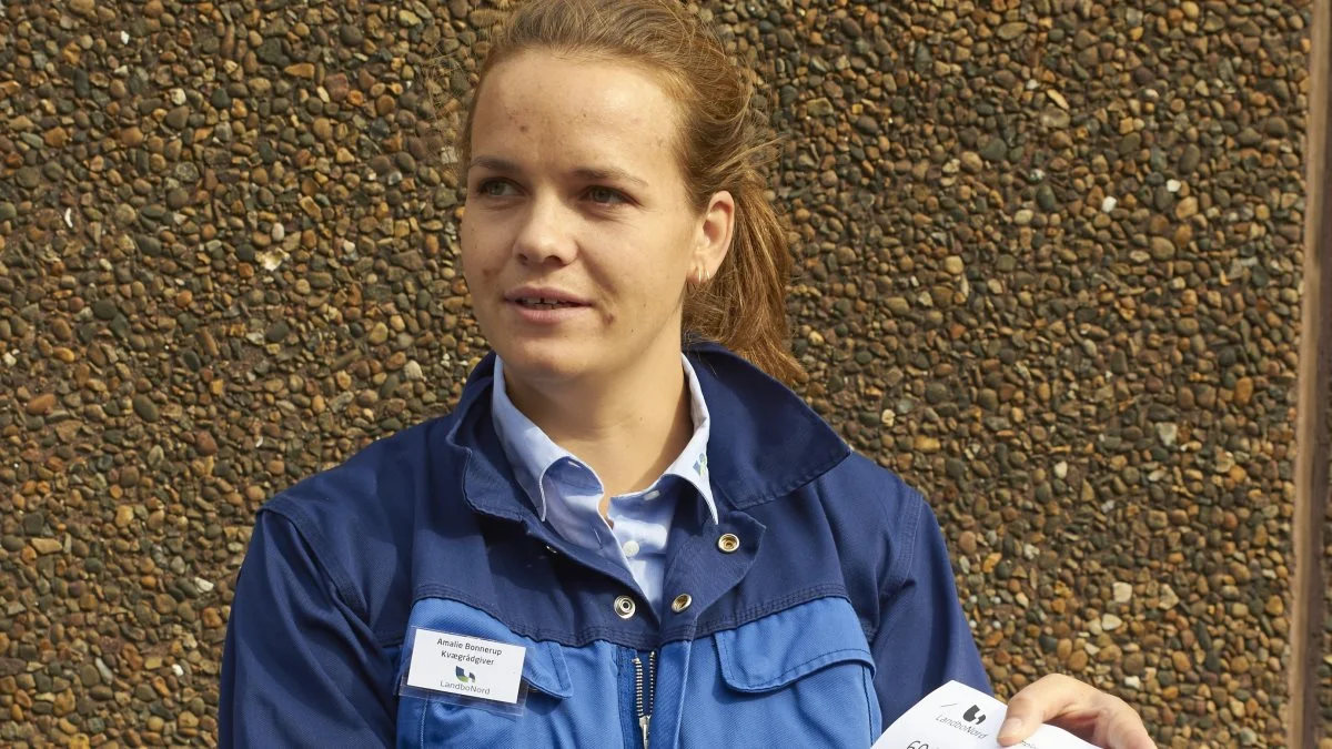 LandboNords kvægrådgiver, Amalie Helene Bonnerup, gjorde en gruppe kalvepassere og landmænd klogere på mælkeerstatninger.