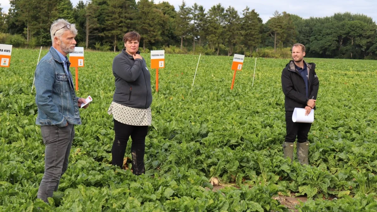 De efterhånden mangeårige fyraftensmøder med afsluttende grill er et samarbejde mellem KWS ved Elo West Larsen (til venstre) og BASF ved Anders Christensen (til højre). Foto: Jørgen P. Jensen
