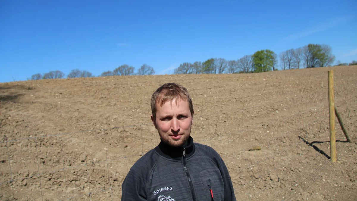 Rasmus Jessen, der rejste ny skov i marts måned i år, håber at rejse endnu en skov på sin ejendom.