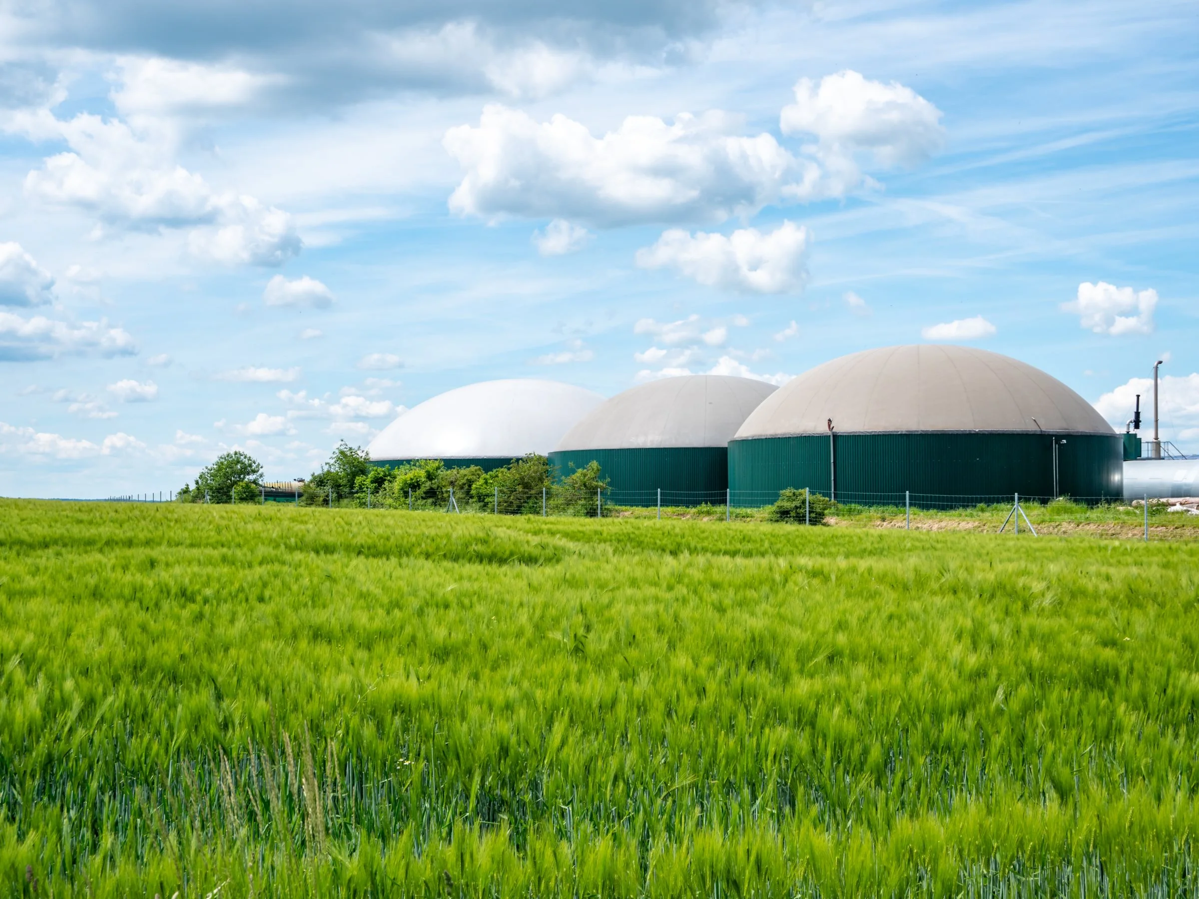- Biogas er ét af de områder, som skal være med til at sætte yderligere fart på den grønne omstilling og ikke mindst den grønne energiproduktion. Her står landbruget med en unik mulighed for at gøre en væsentlig og positiv forskel, fortæller den nye vicedirektør. Arkivfoto