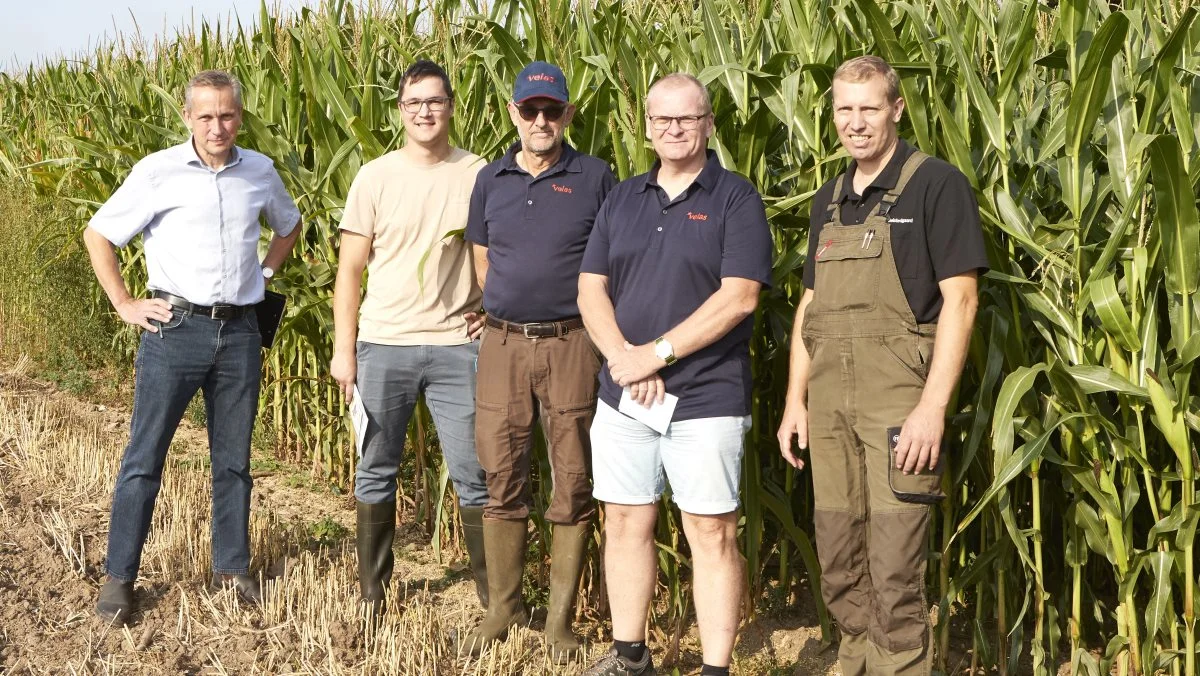 Arrangørerne bag grovfodermødet på tirsdag forventer stor deltagerinteresse efter den usædvanlige vækstsæson. Fra venstre ses Ulrich Christiansen, DLG, Kristoffer Boye Larsen, Hans Erik Larsen og Anders Christiansen, alle Velas, samt dagens vært, gårdejer Jakob Eriksen, Gelstedgaard. Foto: Erik Hansen