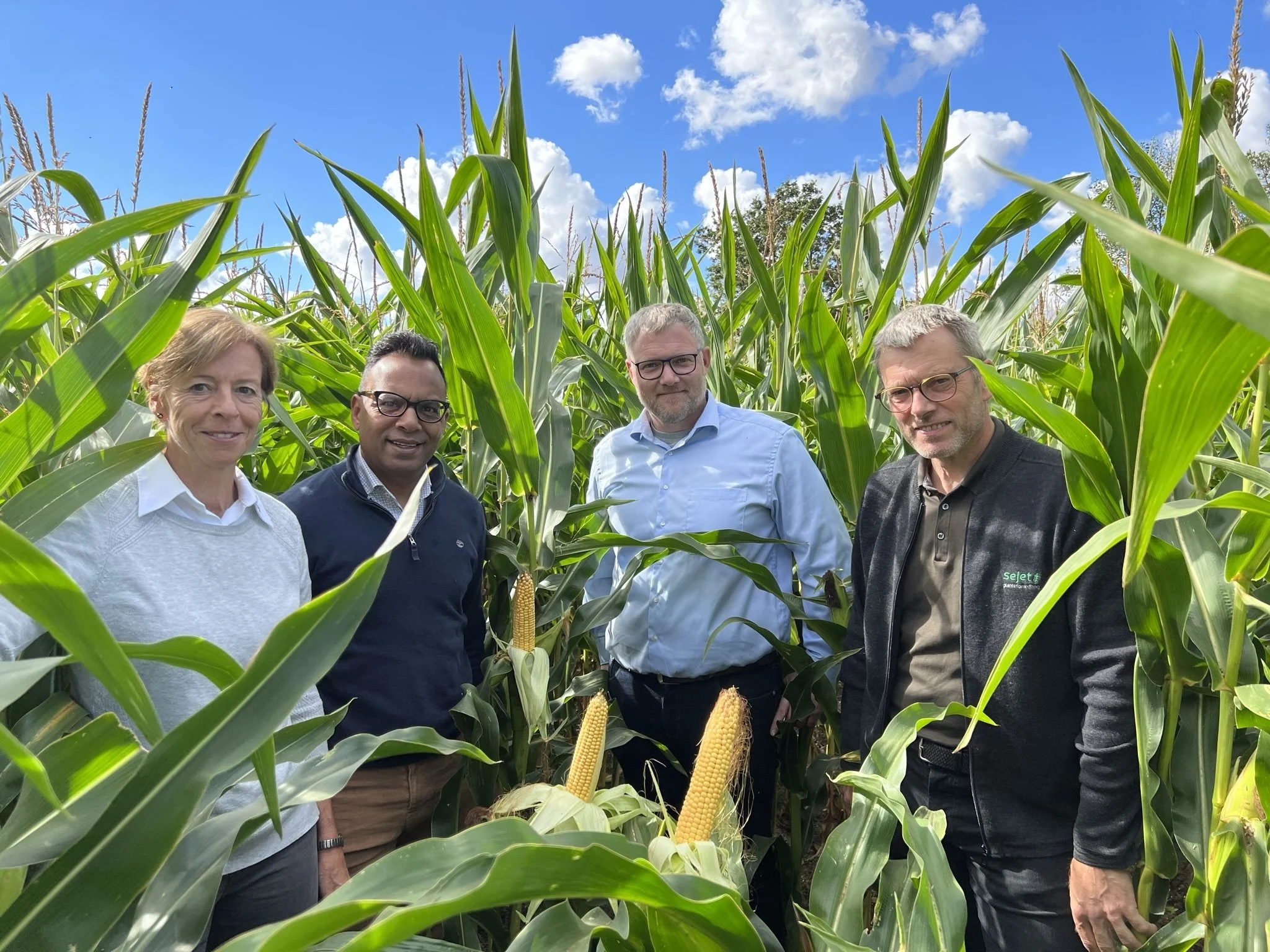 Else Bøje Nielsen og David Ramdhian fra Ragt, Søren Severin fra BASF og yderst til højre Jens Bagge fra Sejet Planteforædling ser Duo System-sorterne som et stærkt våben i kampen mod resistente græsser. Foto: Kasper Stougård