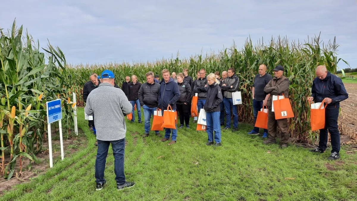 Den sønderjyske grovfoderdag plejer at være godt besøgt. Som her ved sidste års grovfoderdag, hvor de mange deltagere blev vist rundt i hold. Arkivfoto: John Ankersen