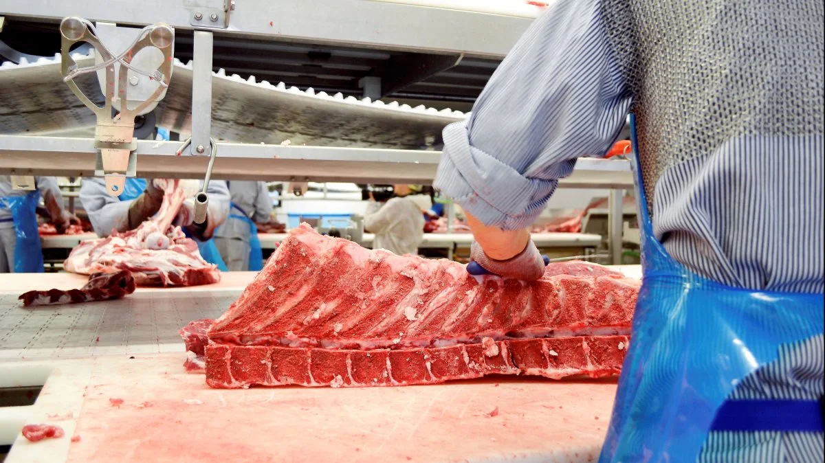 Afregningsprisen sænkes i den kommende uge med 40 øre/kg gældende for alle kategorier. Foto: Danish Crown