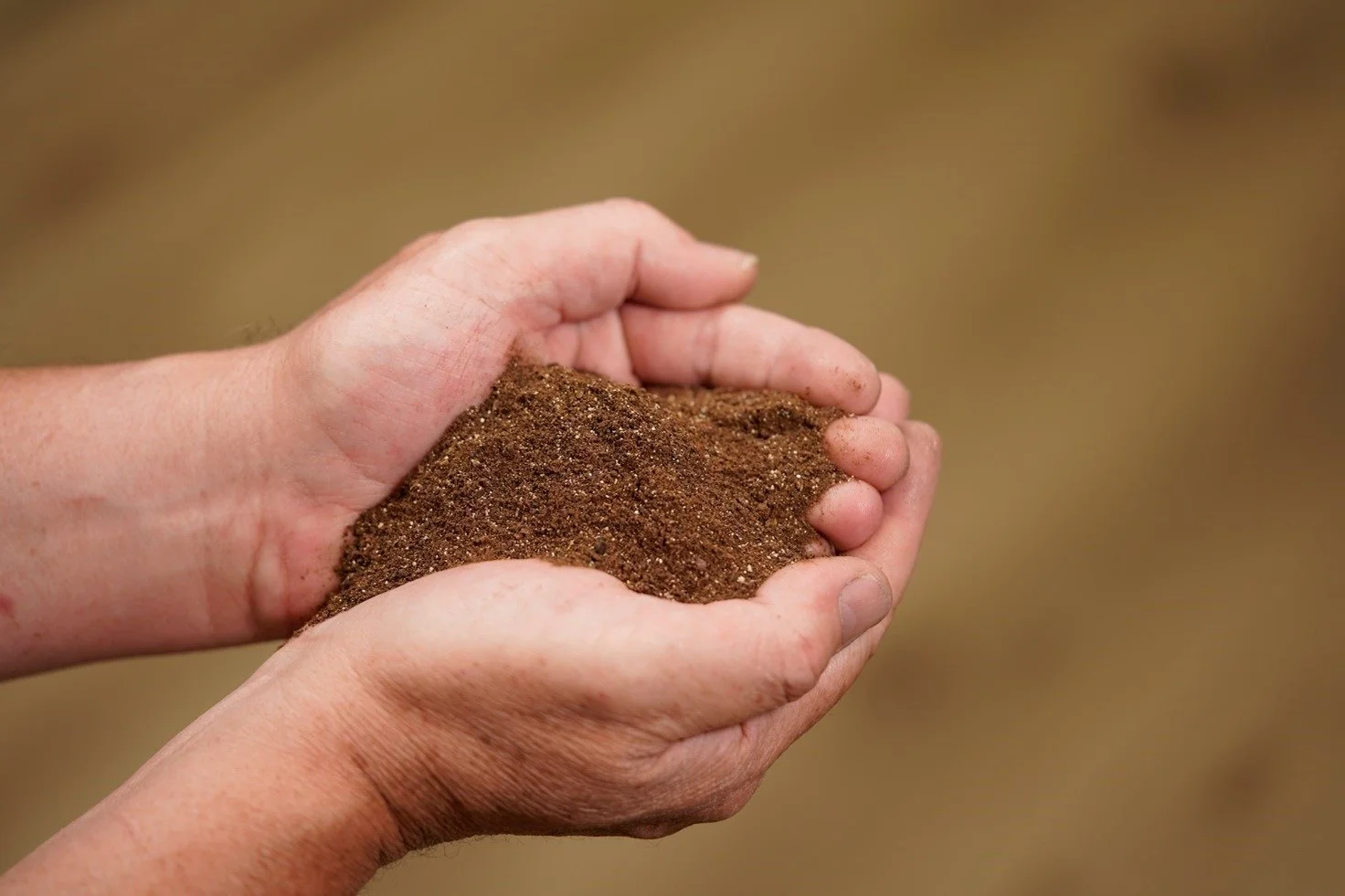 R2 Agro vil fremover have særligt fokus på sine specialprodukter, de såkaldte supplements, der tilsættes foderblandinger. Foto: R2 Agro