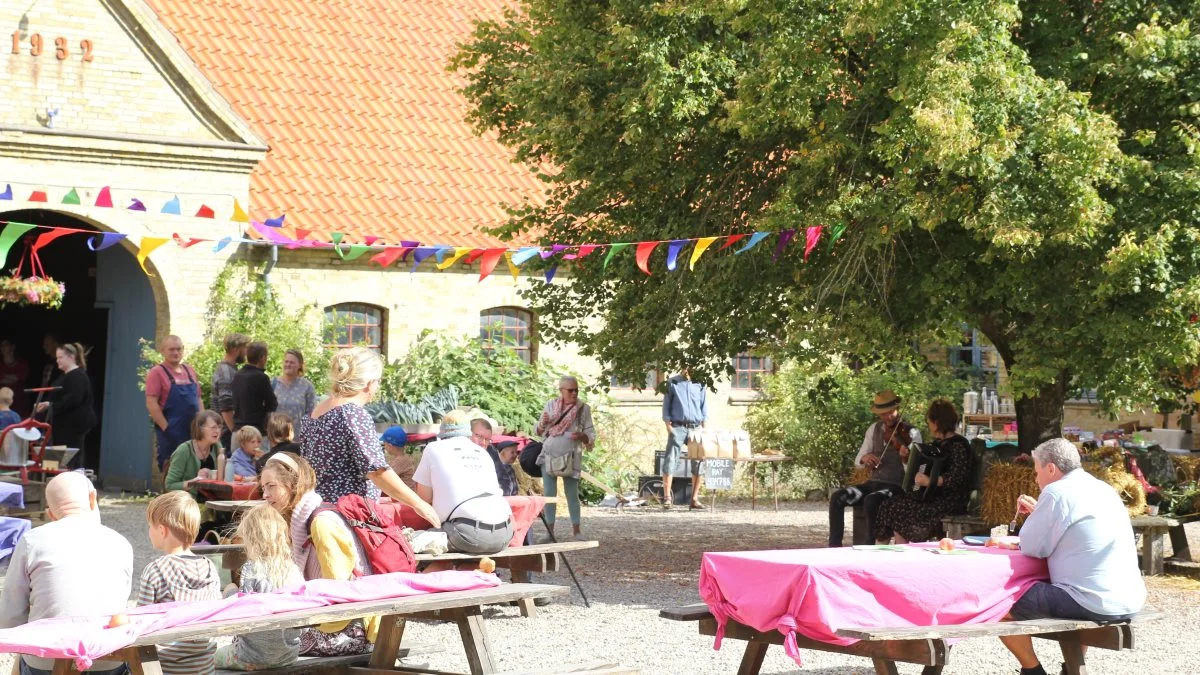 Sidste weekend var der Økologisk Høstmarked tre steder på Fyn. Et af dem var på Nørregaard i Ørsbjerg ved Aarup. Fotos: Henriette Lemvig