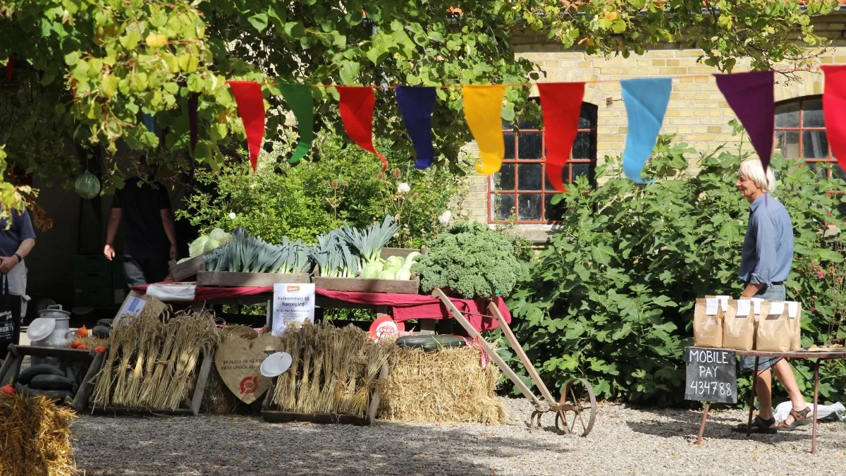 Boder med biodynamisk dyrkede grøntsager og mel fra mikromølleriet Vild Hvede var blandt meget andet muligt at købe på markedet.