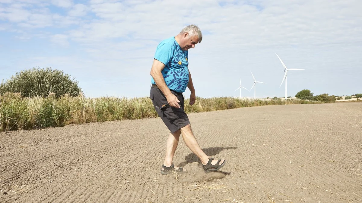 - Inden vi stoppede 1. september, fik vi sået 82 af de 88 planlagte hektar. Nu må se, om rapsen overhovedet kommer op, siger Bent Juul Sørensen, og sparker i den knastørre nysåede mark på Ærøs sydspids. Fotos: Erik Hansen