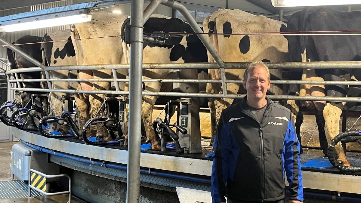 Johnny Jørgensen driver en mælkeproduktion i Bindslev med 780 årskøer, der malkes tre gange om dagen.
