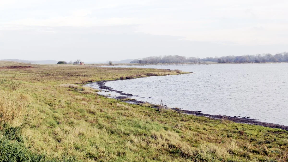 - Udtagning er slet ikke den snuptagsløsning for klimaudfordringer, som mange tror, skriver Jørgen Evald Jensen, der er faglig direktør i Bæredygtigt Landbrug.