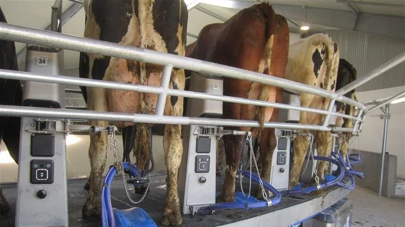 Skiftet til DeLaval E300 har medført flere forbedringer på Ågård. 