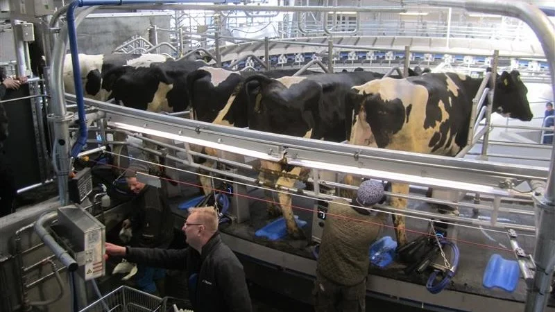 På Ågård er de gået fra 3,69 til 4,39 kg mælk pr. minut i topflow. 