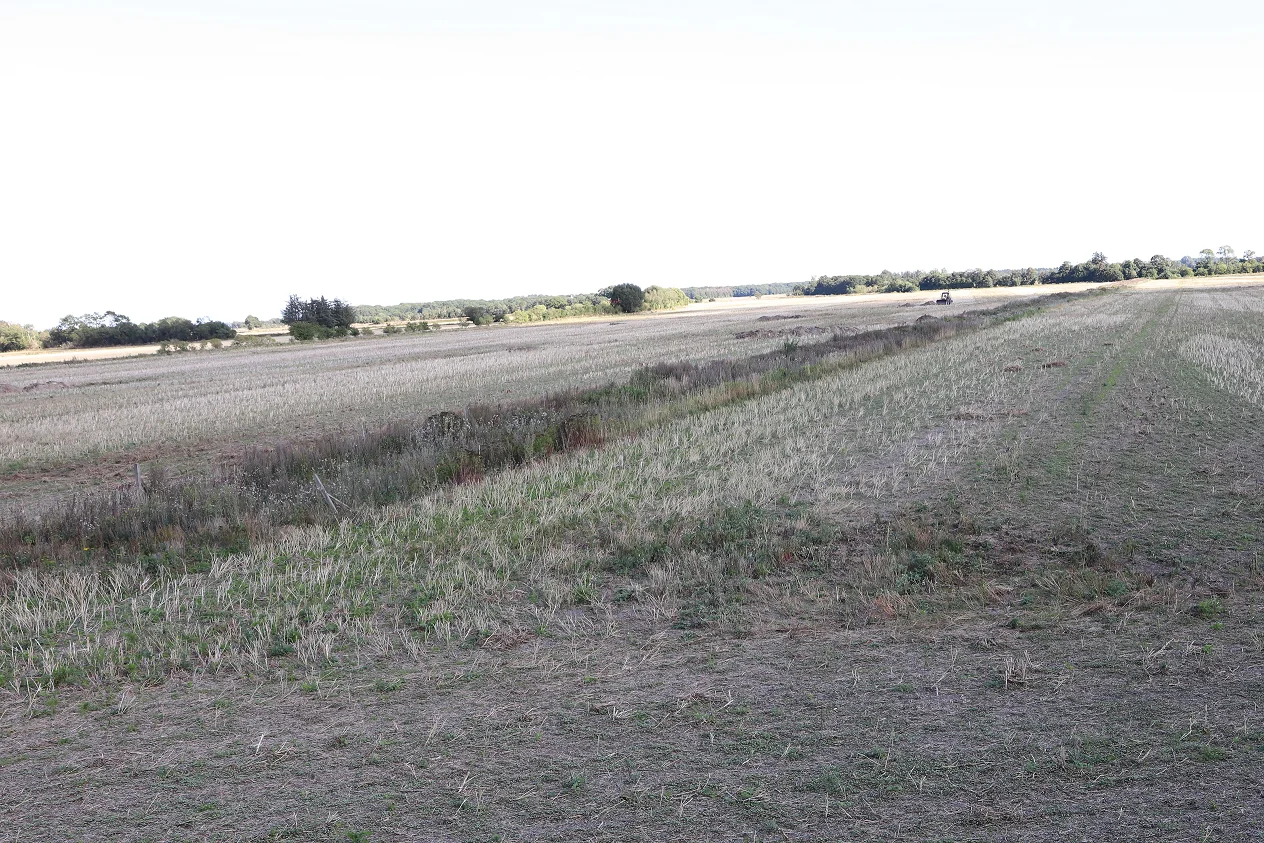 I mange tilfælde kan der tages arealer ud til biodiversitet, uden at det udløser tab på ejendommen, hvis man tager kiler og hjørner ud, så det bliver mere effektivt og dermed billigere at drive markerne. Her på Klitgaard Agro drev man tidligere marken i forlængelse af åen. Det gør man ikke mere, fordi det kostede for meget at ligge og køre efter det korn, der var derinde. I dag er jorden taget ud til naturformål. 