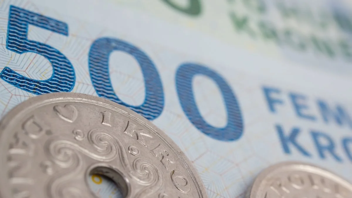 Danskerne skal have flere penge op ad lommerne for at få råd til at leve. Inflationen nåede nye højder i august. Foto: Colourbox