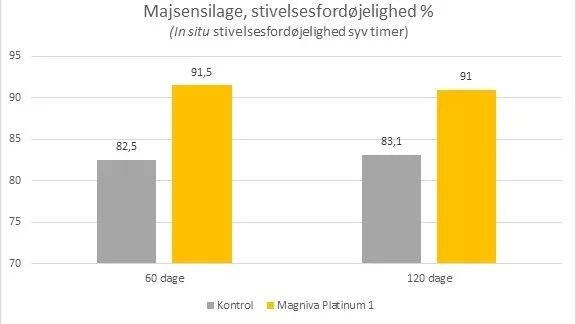 Figur 1. Stivelsesfordøjelighed efter henholdsvis 60 og 120 dages gæring i et brasiliansk studie. Kilde: Lallemand