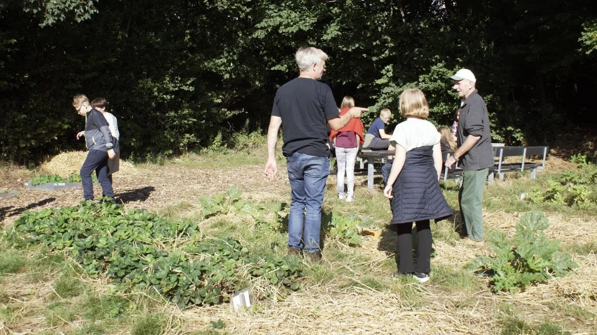 Toubroskolen i Trustrup på Djursland har for andet år i træk holdt høstfest i skolehaven, som sidste år blev til i samarbejde med Djursland Landboforening og 4H Fælleshaver. Foto: Djursland Landboforening
