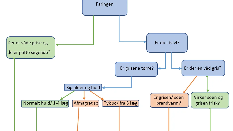Figur 1. Faringstræ, beslutningsstøtte ved faringer. Kilde: SvineRådgivningen
