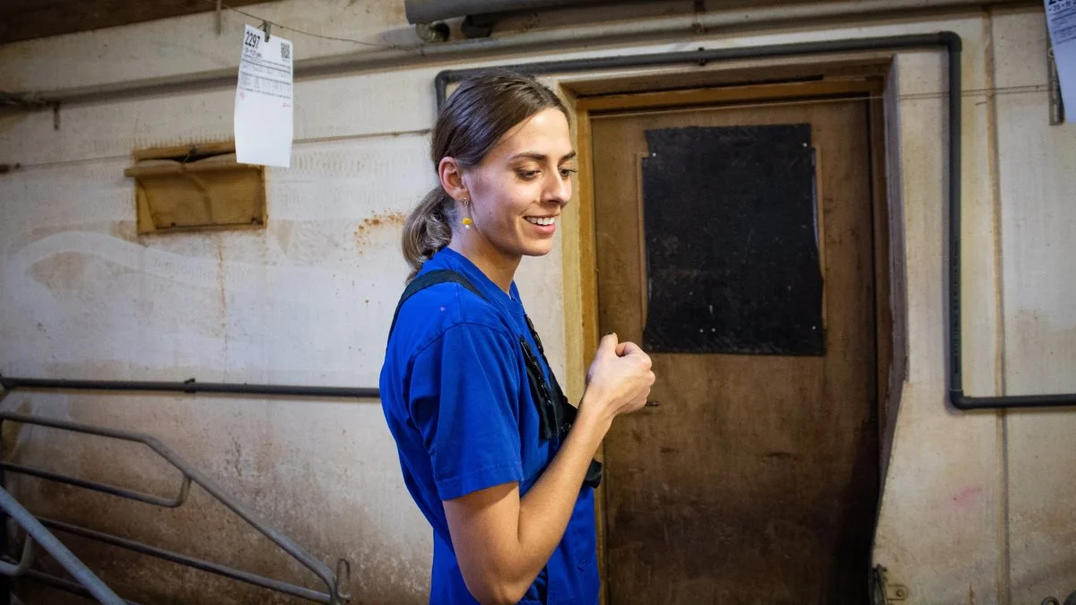 Svinerådgiver Alberte Wagner sætter i SvineRådgivningens nyhedsbrev fra august fokus på pattegriseoverlevelse og giver her en række gode råd til, hvordan antallet af dødfødte kan reduceres. Arkivfoto: Victor Grønbæk