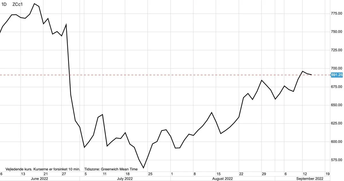Dagsgraf: CBOT Majs i US-cent pr. bushel

De seneste par måneders optur for majsprisen på Chicago-børsen i USA ser ud til at ebbe en anelse ud, nu hvor den amerikanske majshøst er gået i gang.