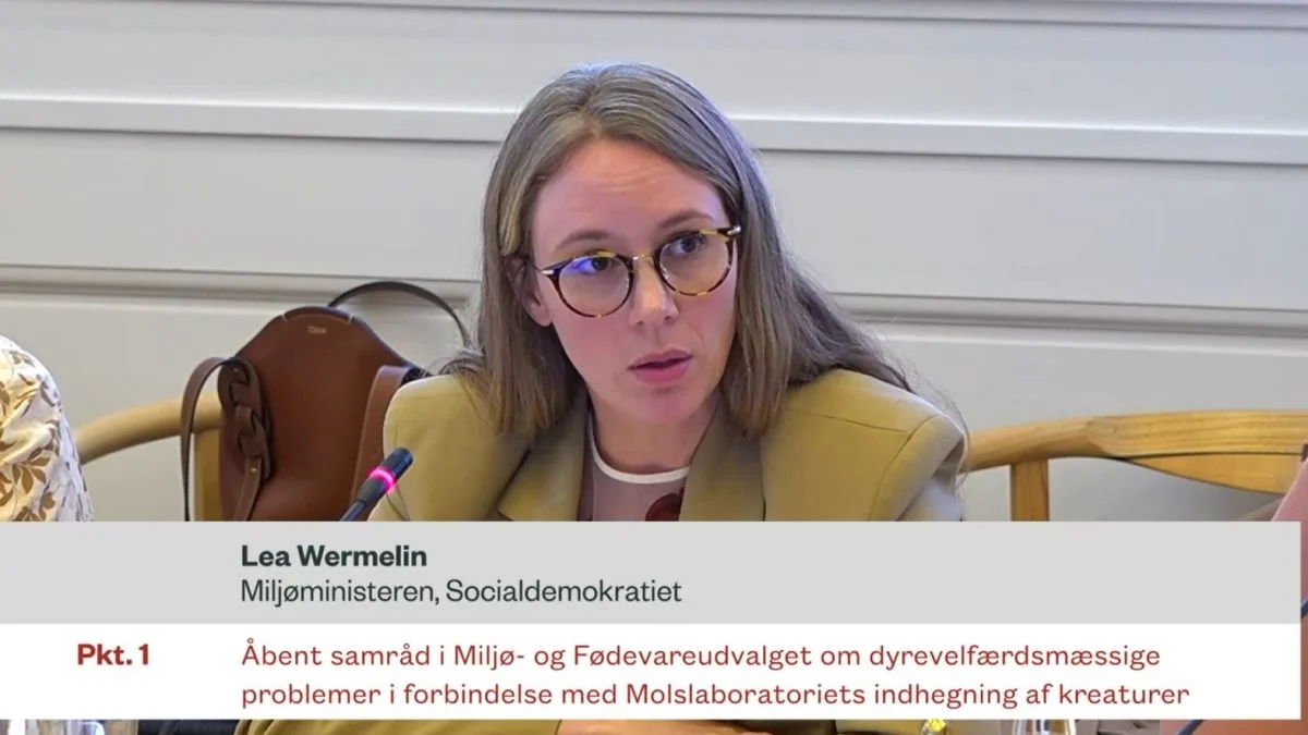 Miljøminister Lea Wermelin uddelte drøje tæsk til velfærden hos landbrugsdyr og fik til gengæld på puklen fra flere af samrådsdeltagerne. Foto: Folketingets TV