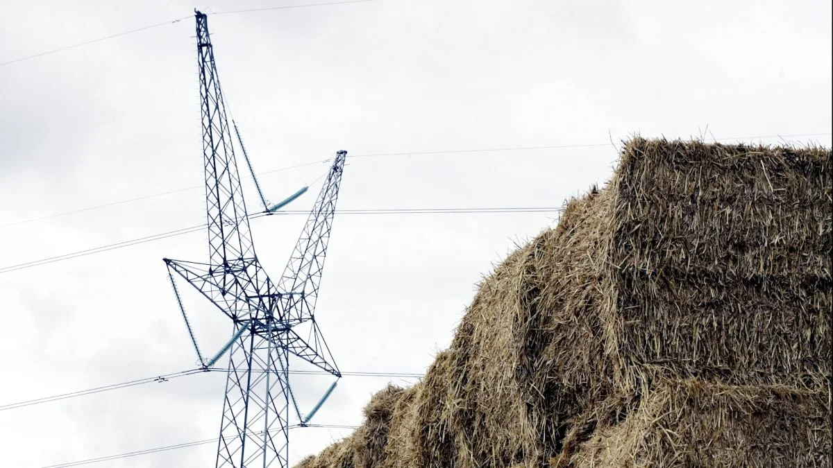 Flemming Nør-Pedersen, direktør i Landbrug & Fødevarer, efterlyser politisk handling efter beregninger, der viser en merudgift på 20 milliarder på energi. Arkivfoto: Erik Hansen