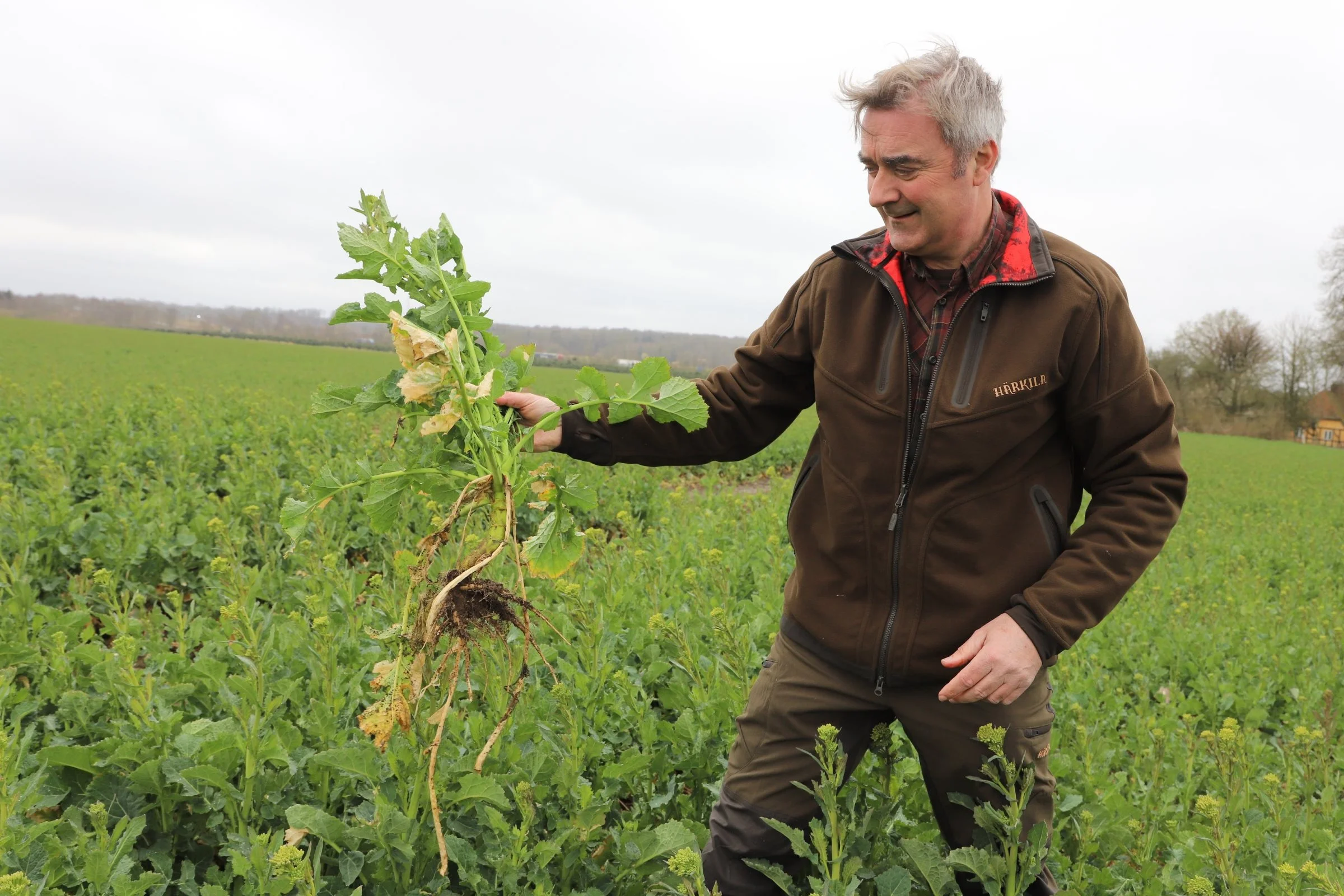 FRDK redefinerer nu begrebet conservation agriculture, så det passer bedre til de danske forhold og 
landmænd. - Vi håber, at vi med de nye trin kan gøre systemet mere tilgængeligt og anspore flere 
landmænd til at komme i gang, siger formand for FRDK, Henrik Terp. Foto: Anne Kjærsgaard Krogh/FRDK