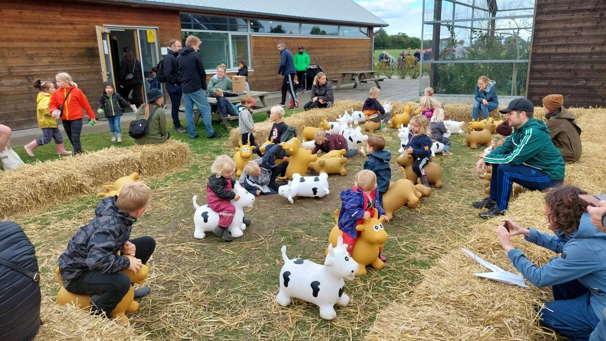 Sjov for de mindste med en tur på de små hoppekøer på åbent landbrugsdagen på Bredballegård. Foto: John Ankersen
