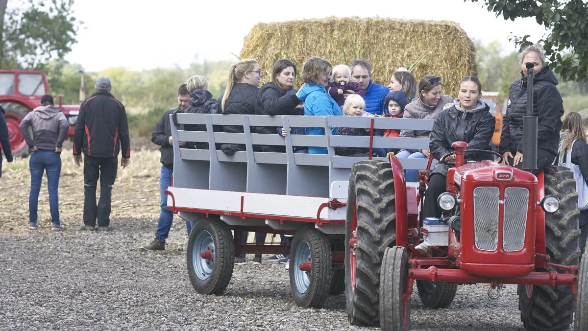 Dagen igennem kørte denne veterantraktor gæsterne rundt på den store bedrift.