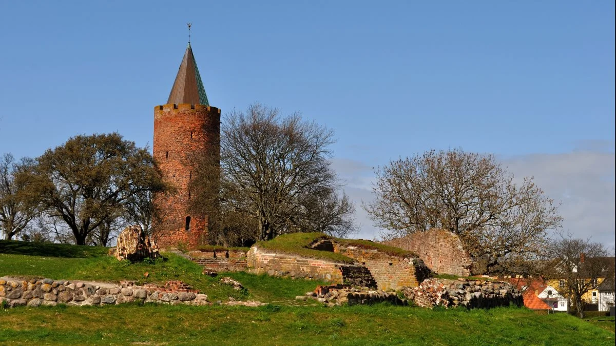 Vordingborg Kommune - med blandt andet Gåsetårnet - er valgt som Danmarks vildeste kommune. Foto: Colourbox