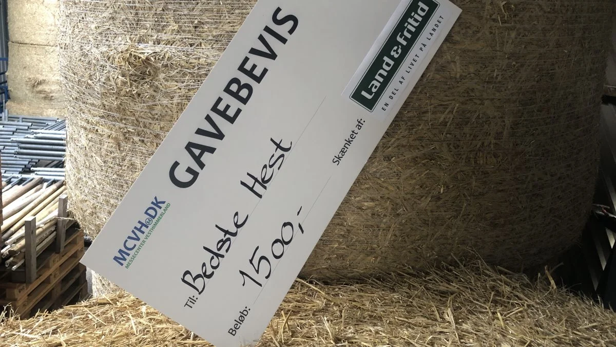 Der er 1.500 kroner til skuets bedste hest, skænket af Land & Fritid.