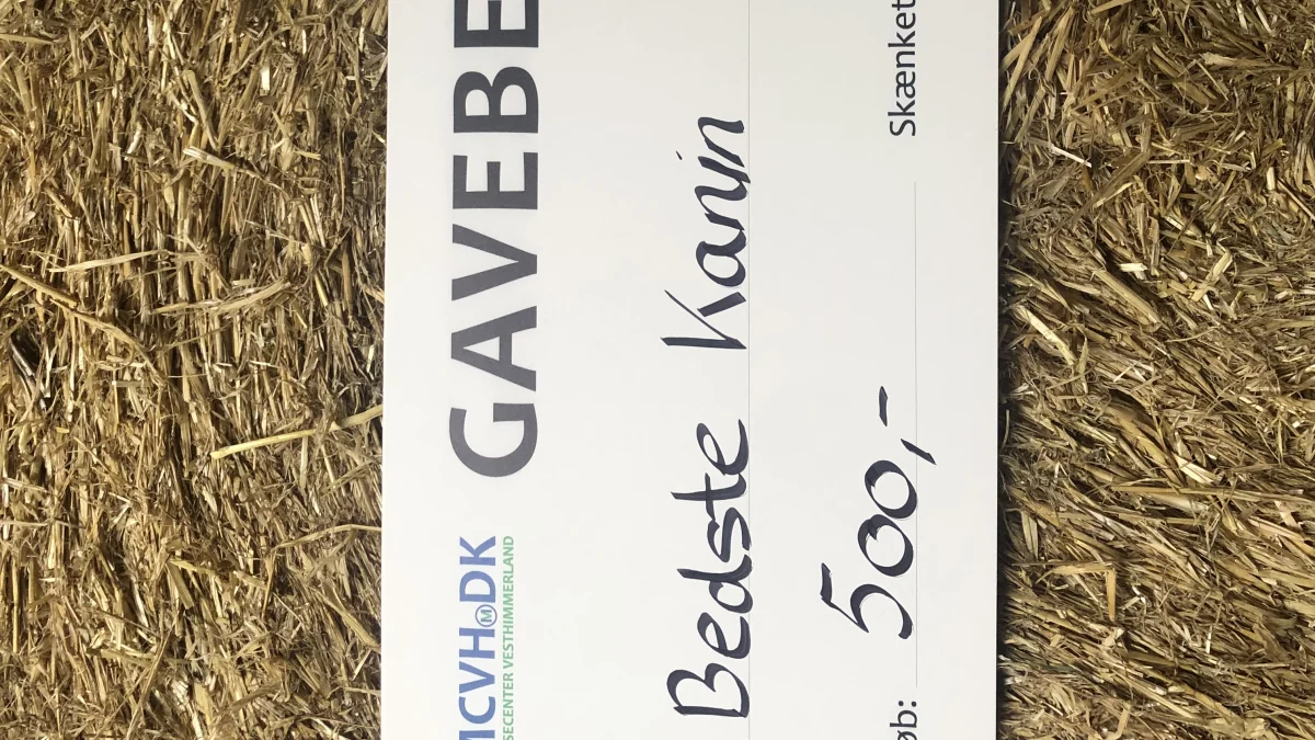 Land & fritid giver 500 kroner til skuets bedste kanin.