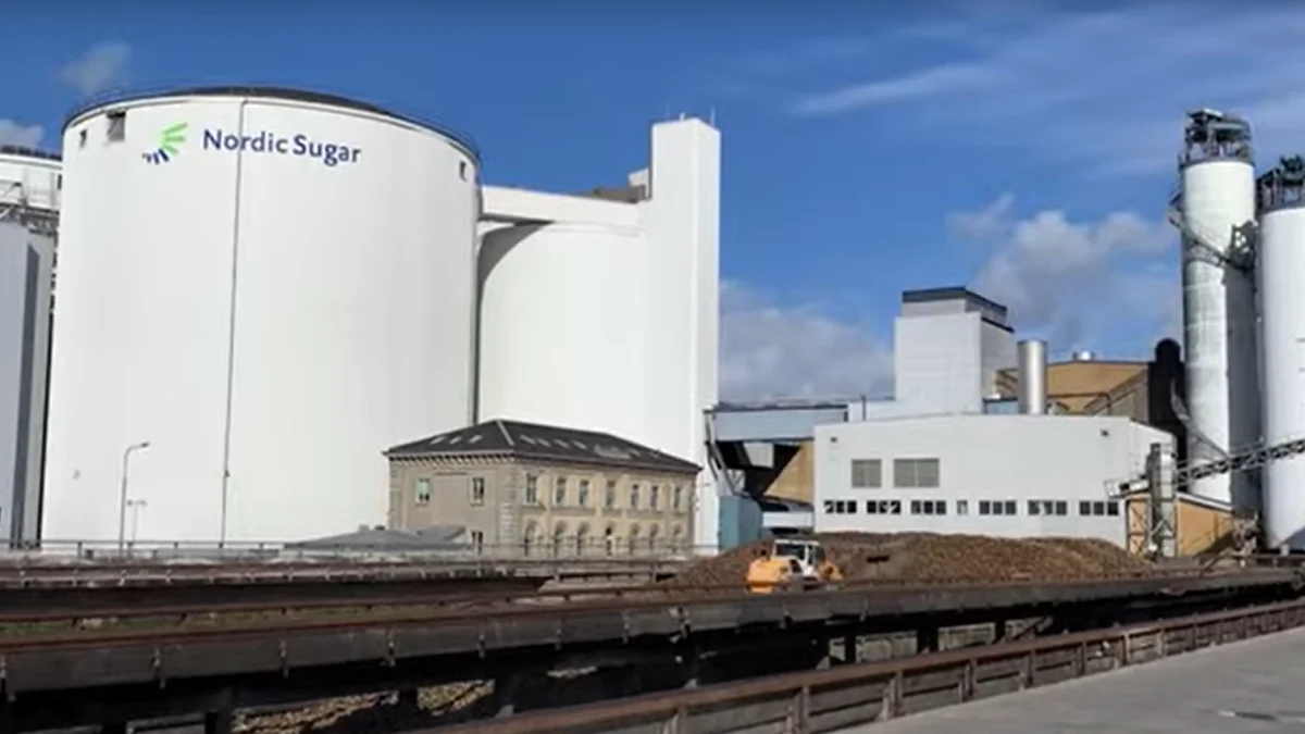 Sukkerfabrikken i Nakskov får ikke altid nok roer ind fra de danske roedyrkere.