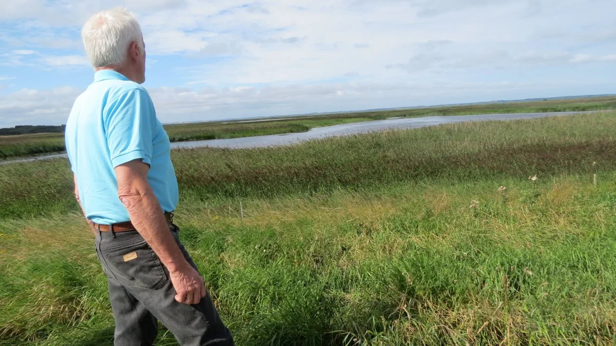 Først efter et års ventetid oversendte Miljøministeriet landmændenes ansøgninger til Miljøstyrelsen til videre behandling, skriver Oskar Verdoner Møller om sagen, som Bæredygtigt Landbrug har klaget til Ombudsmanden over. Fotoet har ikke noget konkret med sagen at gøre. Arkivfoto 