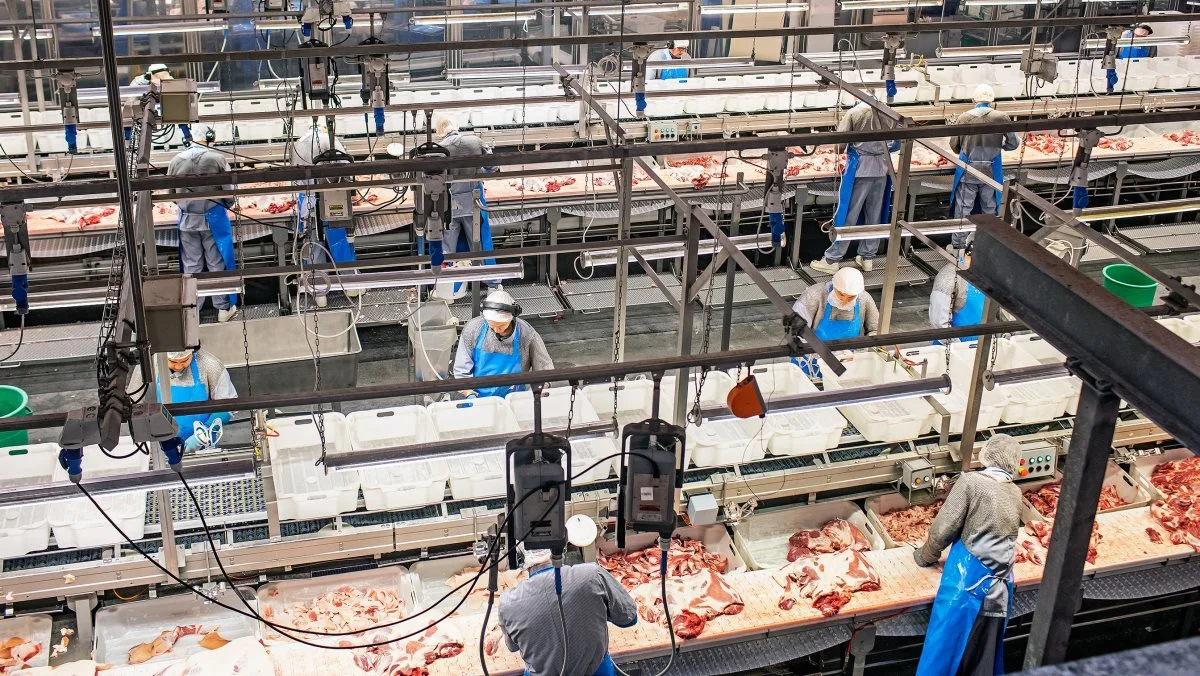 Danish Crowns slagteri i Horsens har erfaret, at selv en meget kort strømafbrydelse er nok til, at produktionen går fuldstændig i stå i minimum to timer. Arkivfoto