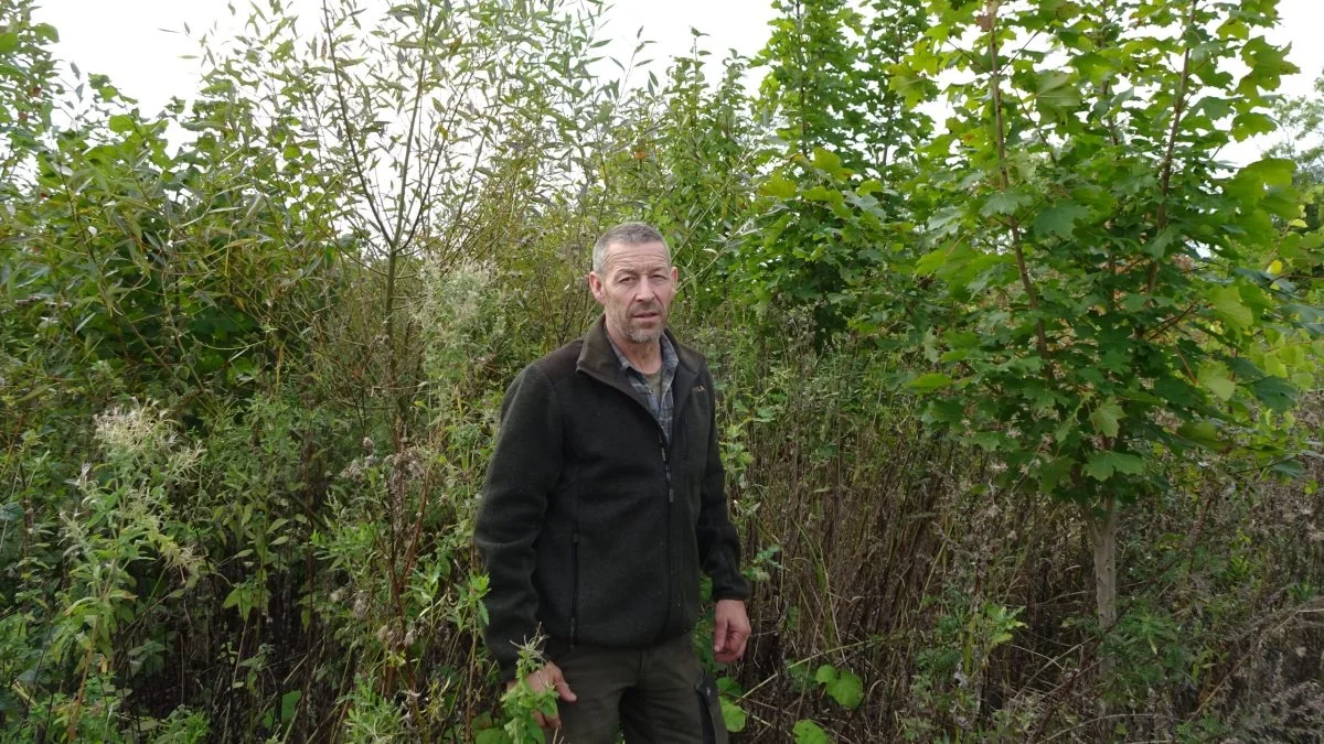 Jaques Spindler i sin nyetablerede skov ved Brande.