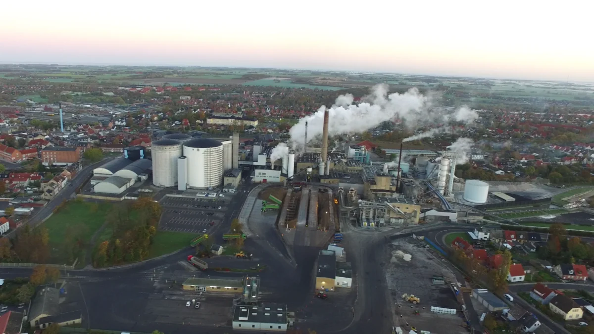 Økologiske sukkerroer har fortsat høj afregningsværdi, og ifølge Nordic Sugar har årets høst en fin og høj kvalitet. Foto: Nordic Sugar