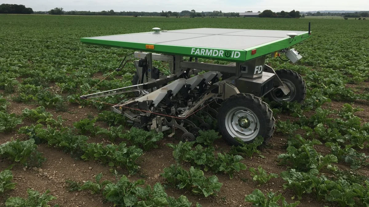 Robotter fra FarmDroid blev i forbindelse med etableringen udnævnt til en mulig løsning på det vanskeligheder, som ukrudtet forårsager i dyrkningen af økologiske sukkerroer.