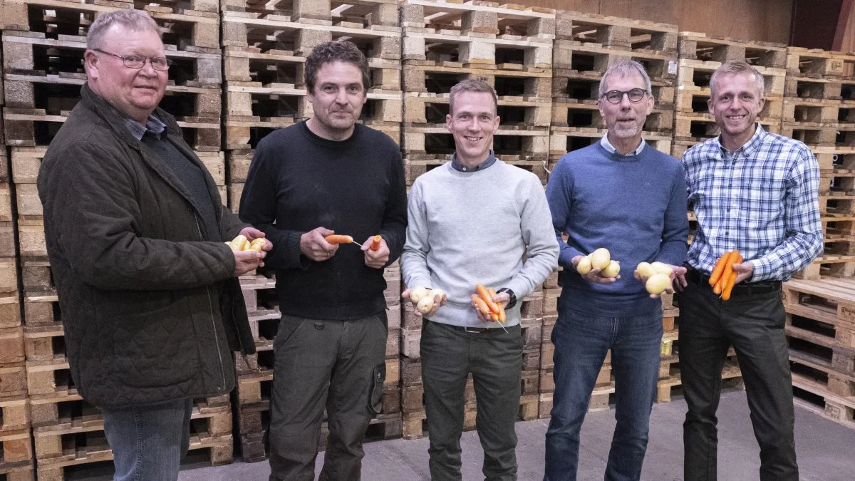 De fem avlere i årets Grand Cru-finale. Fra venstre: Anders Biltoft Kristensen, Christian Heslet Jørgensen, Kristoffer Linderoth, John Nielsen og Jens Møller Olsen. Foto: Ulrik Larsen