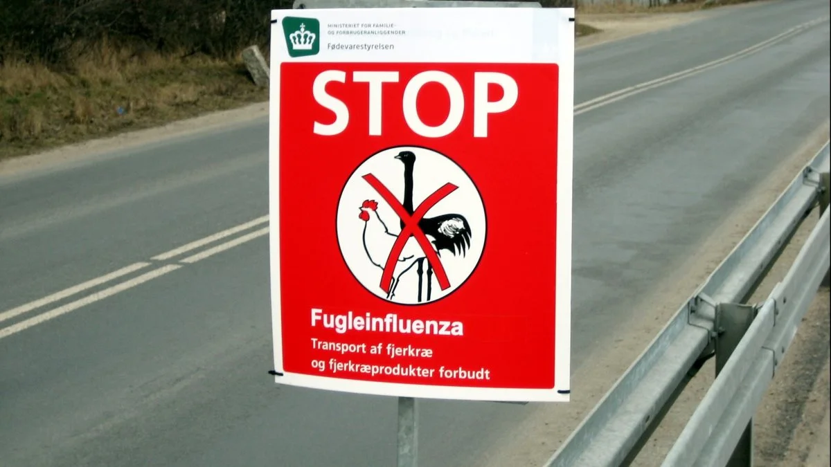 Arkivfoto
