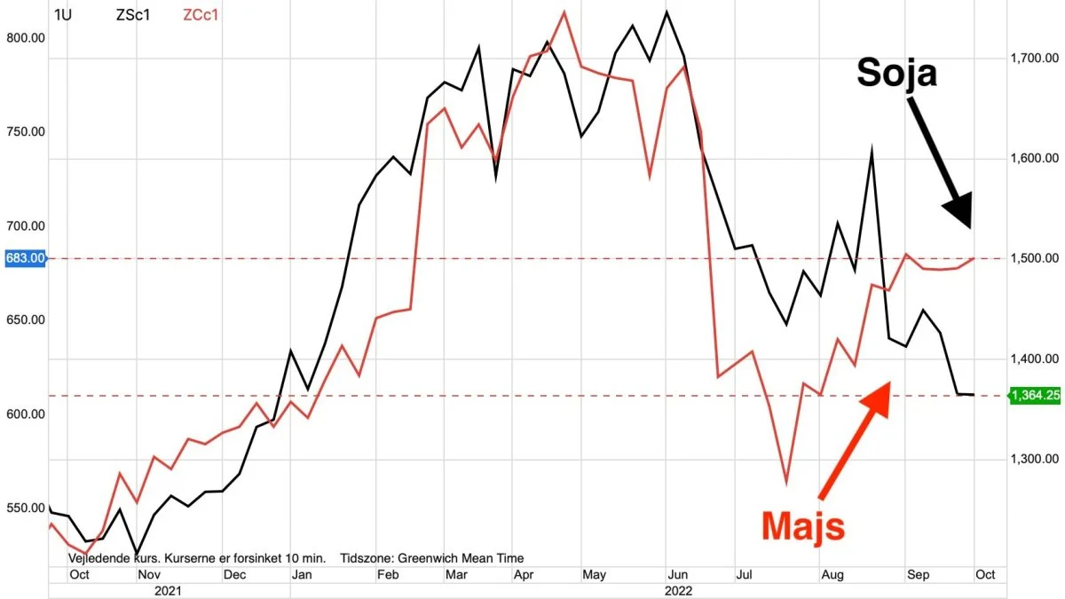 Ugegraf: CBOT Sojabønner vs. Majs i US-cent pr. bushel

Prisen for sojabønner sætter sig ret så markant på afgrødebørsen i Chicago efter kvartalsrapporten fra det amerikanske landbrugsministerium. Derimod stiger prisen for korn.
