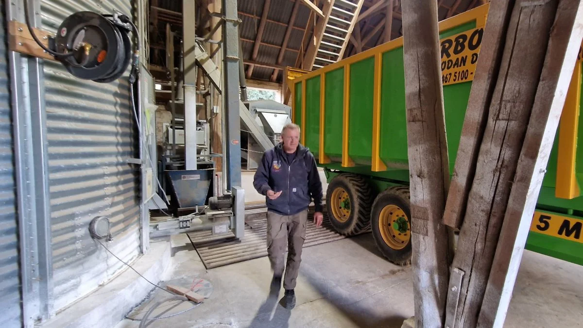 De nyhøstede hampfrø renses og kommer op i amerikanersiloen inden leveringen til Danish Agro og Møllerup Brands.