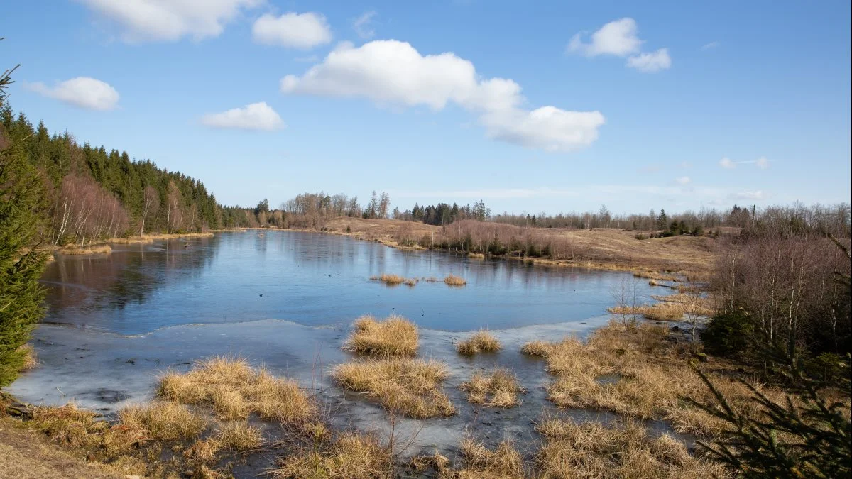 Vådområder er ikke kun vigtige som økosystemer; de er også et vigtigt element for landbosamfund og ikke mindst deres økonomi, skriver DCA. Foto: Colourbox